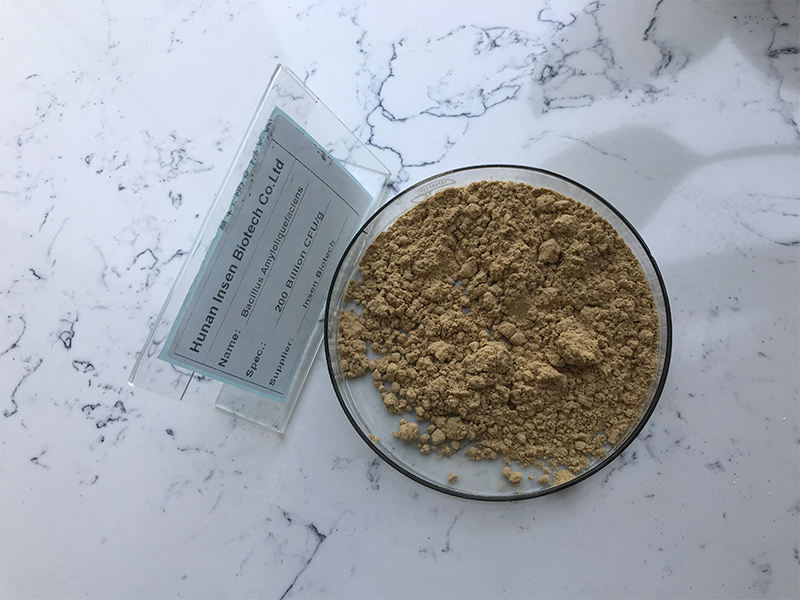 Bacillus Amyloliquefaciens (Биологический порошок)