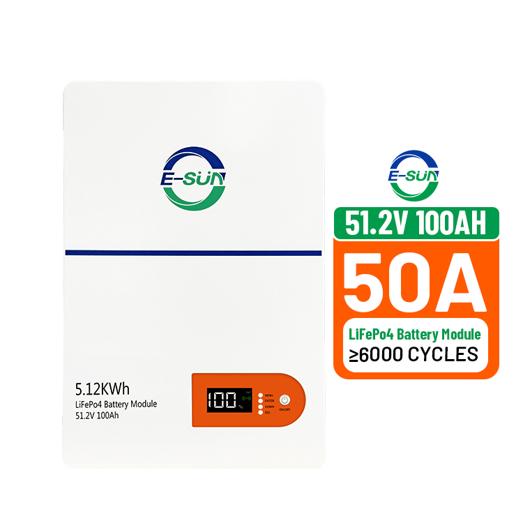 5KWh LiFePO4 Battery System Smart BMS 51.2V 100AH Wall Mounted LFP Battery 6000 Deep Cycle for Household Storage Ernergy