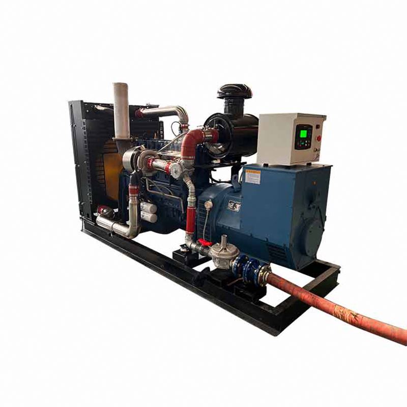 Gasifier Power Generator Gas 400kw 500kw Coal Cummings Engine Natural Gas Biomass Biogas LPG Gas Electric Generator 10kw-1000kw