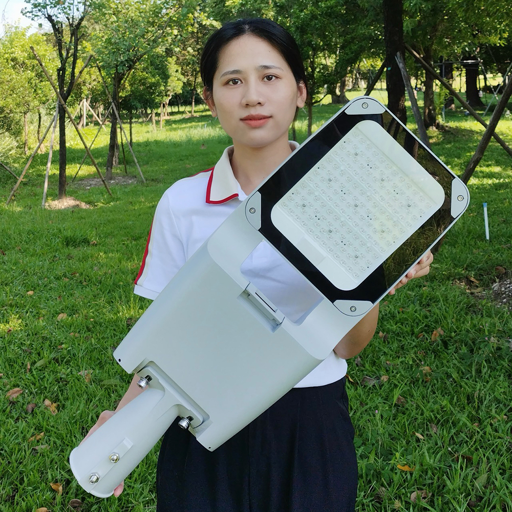 110V 220V Led Streetlight 100W LED Street Light 50W Led Lamp Outdoor Lighting 150W 200W for Expressway Main Road Street Light