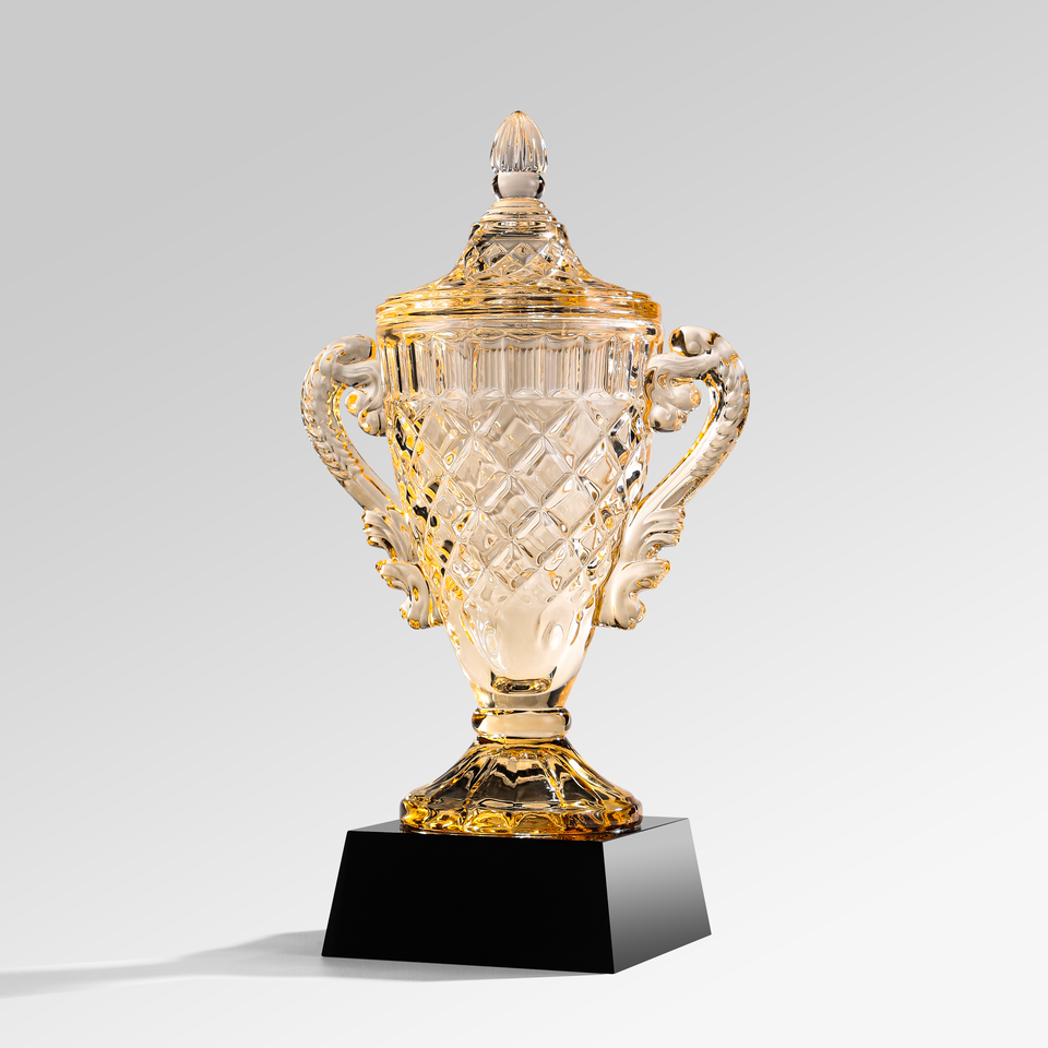 Награда «Победитель» (Custom Awards)