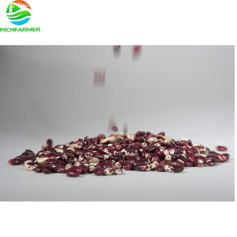 Пестрая фасоль (Light Speckled Kidney Beans)