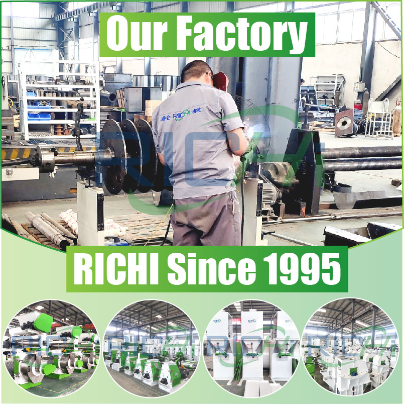 China Hot Sale 20-30 Ton Per Hour New Biomass Pellet Production Line