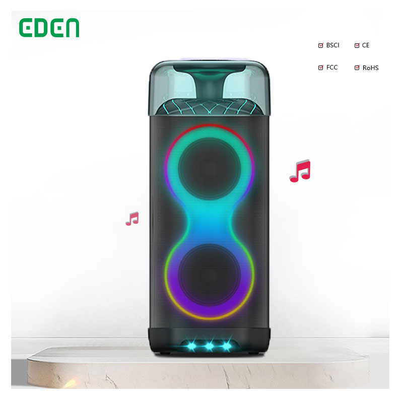 EDEN New Product Portable Radio Speaker Dual 6.5 Inch LED Lighting Party Box Wireless Bluetooth Outdoor Stage Use party speaker