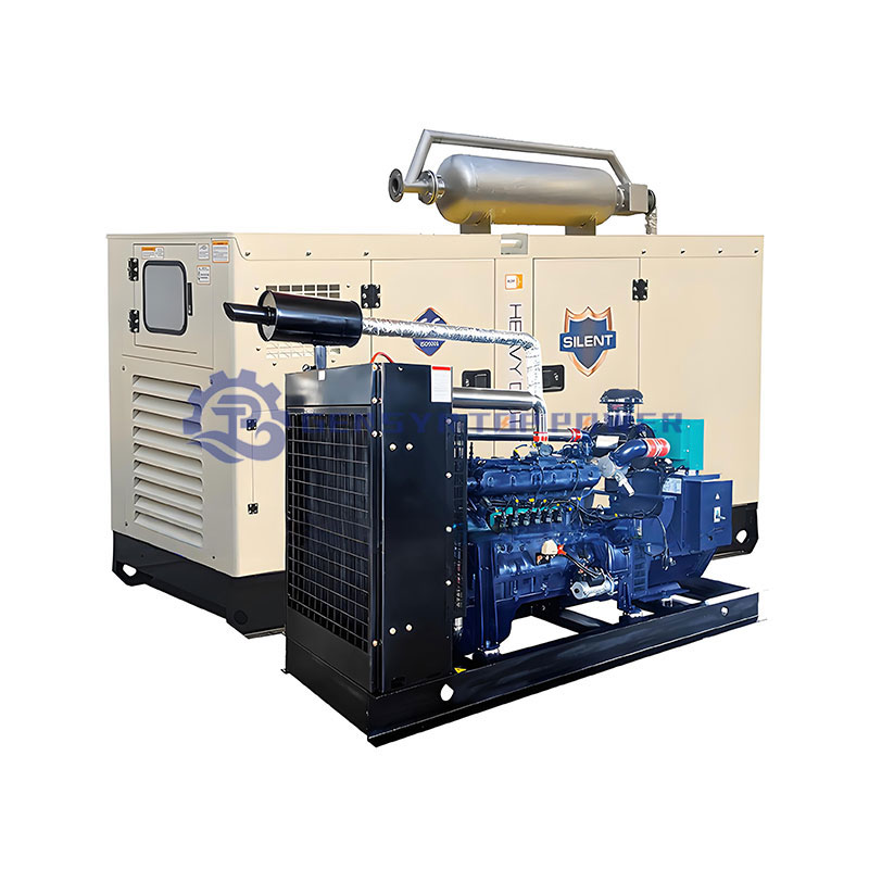Natural Gas & Syngas/Biogas Turbine Generator Set High Efficiency Auto Start Gen Set
