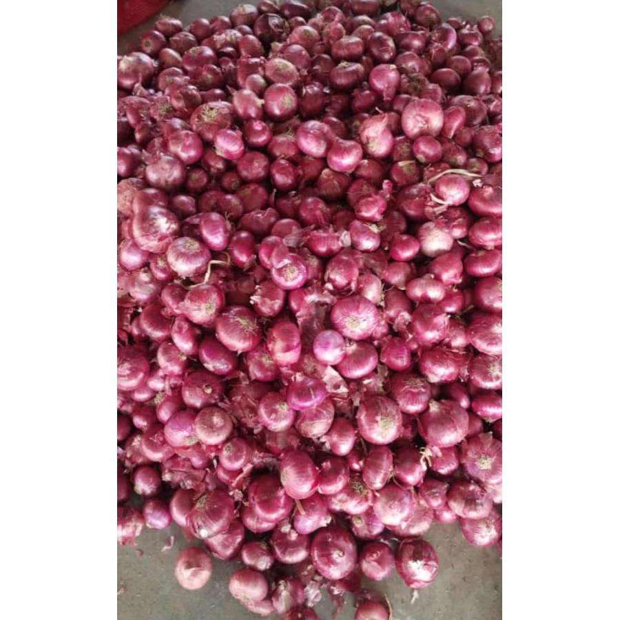Свежий лук (Bulk Supplies Fresh Onion)