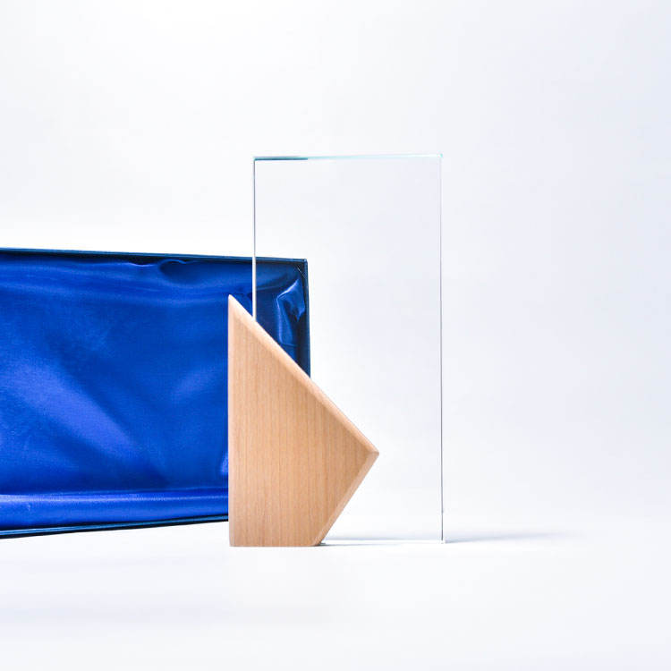 Хрустальный трофей «Award with Logo»