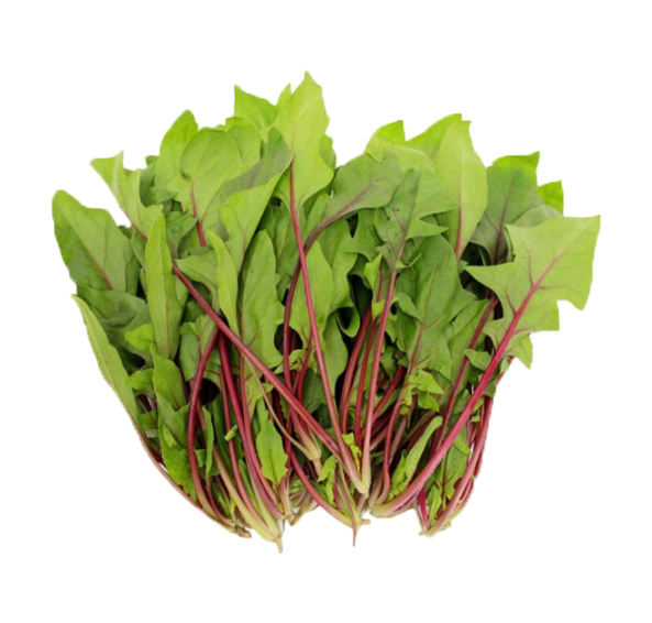 Растительный экстракт Red (Plant Red Extract)