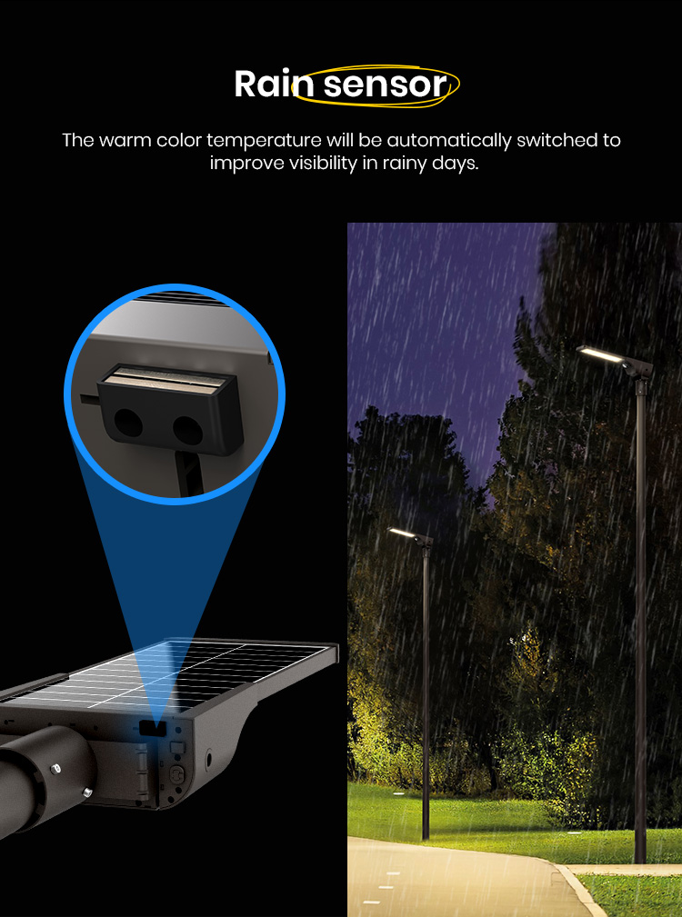 2025 SRESKY  High Quality 30W 4m  Ip65 Solar Outdoor Light Efficiency Led Solar Street Light