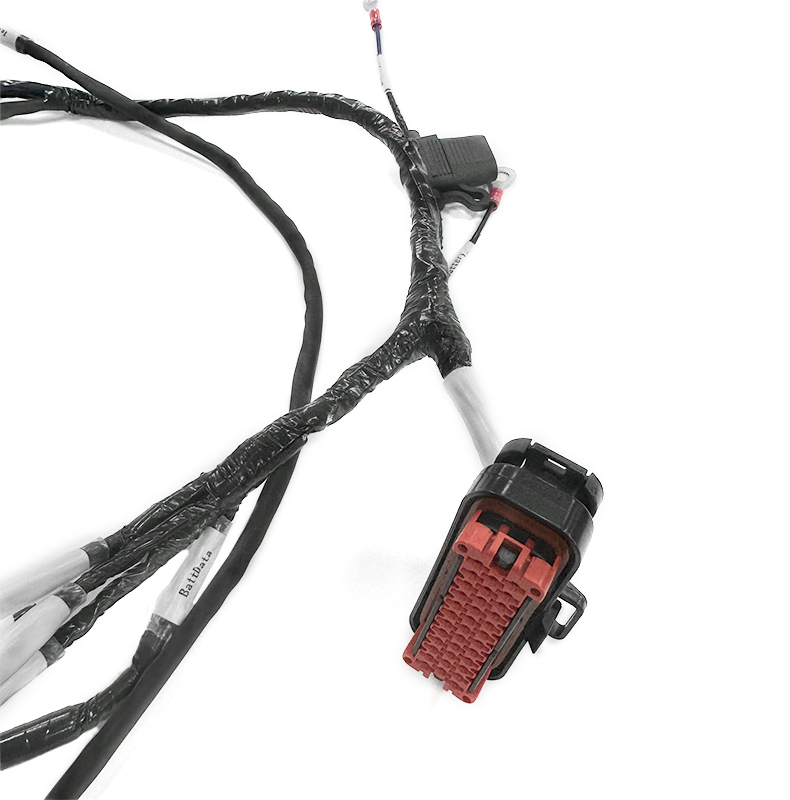 Professional Cable Assembly Factory Production All Kinds of Custom Ebike Accessories Part Wire Harness Cable