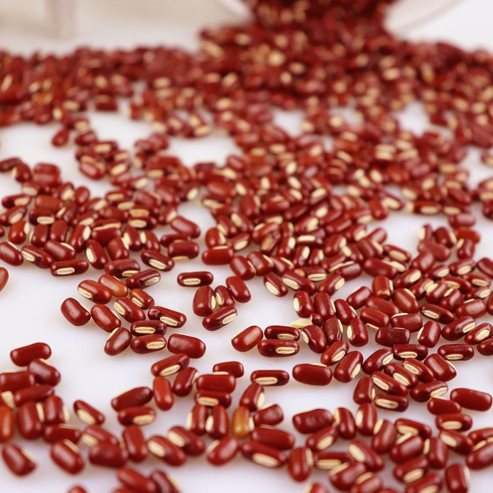 Отборная красная фасоль (Vigna Small Red Beans)
