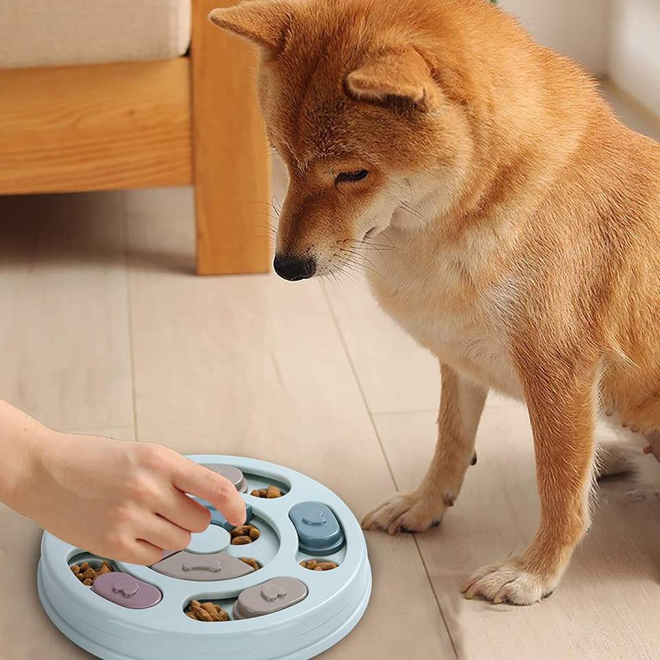 Развивающий центр «Pet Enrichment»