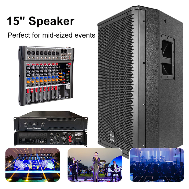 ODM Customized Active 15 Inch Speakers Audio pa System Speaker Sound Woofer Subwoofer Bass Passive 15 Inch Professional Speakers