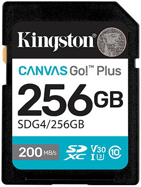 SD 256GB Class 10 U3 Kingston SDG4/256GB жадна картасы
