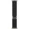 APPLE 49mm Black Alpine Loop - Large - Natural Titanium Finish