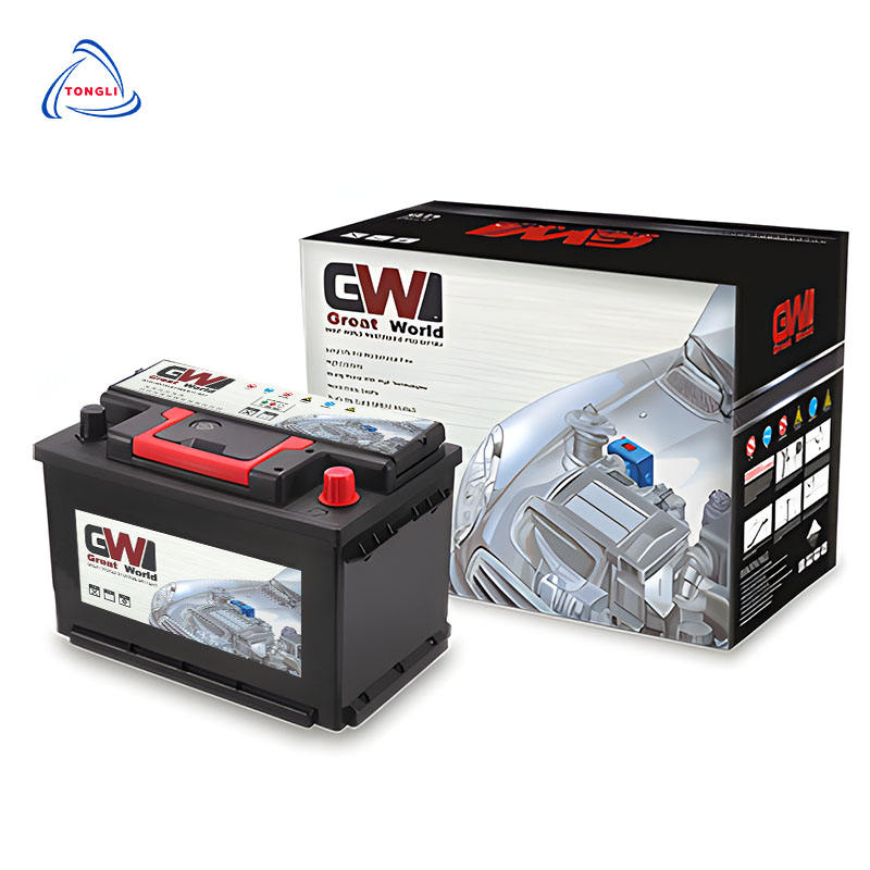 Экологичный автомобильный аккумулятор 12V (Hot Sale)