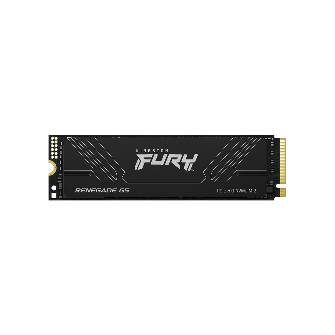 SSD қатты дискісі Kingston FURY Renegade G5 SFYR2S/1T0 1024GB M.2 NVMe PCIe 5.0x4
