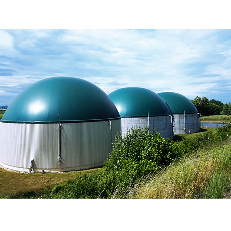 Customized Flexible Large Biogas Plant Biogas Digester for Generate Electricity