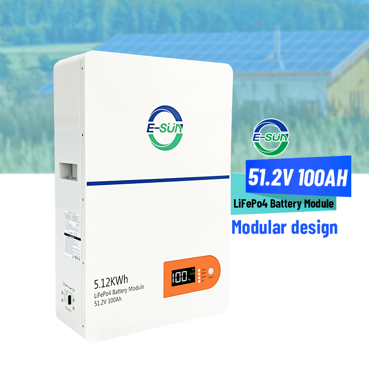 5KWh LiFePO4 Battery System Smart BMS 51.2V 100AH Wall Mounted LFP Battery 6000 Deep Cycle for Household Storage Ernergy