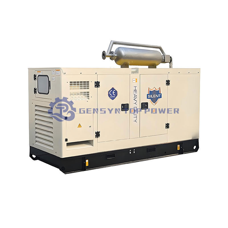 Natural Gas & Syngas/Biogas Turbine Generator Set High Efficiency Auto Start Gen Set