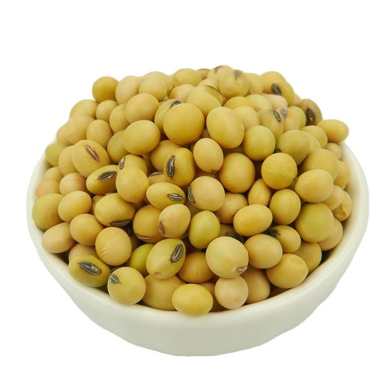 Желтая соя Nihewan Non-GMO (Nihewan Soyabean Yellow)