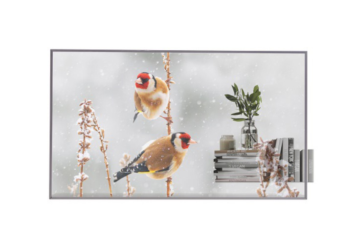 Прозрачный OLED-дисплей LG EW5P-M Series (55EW5P-M)