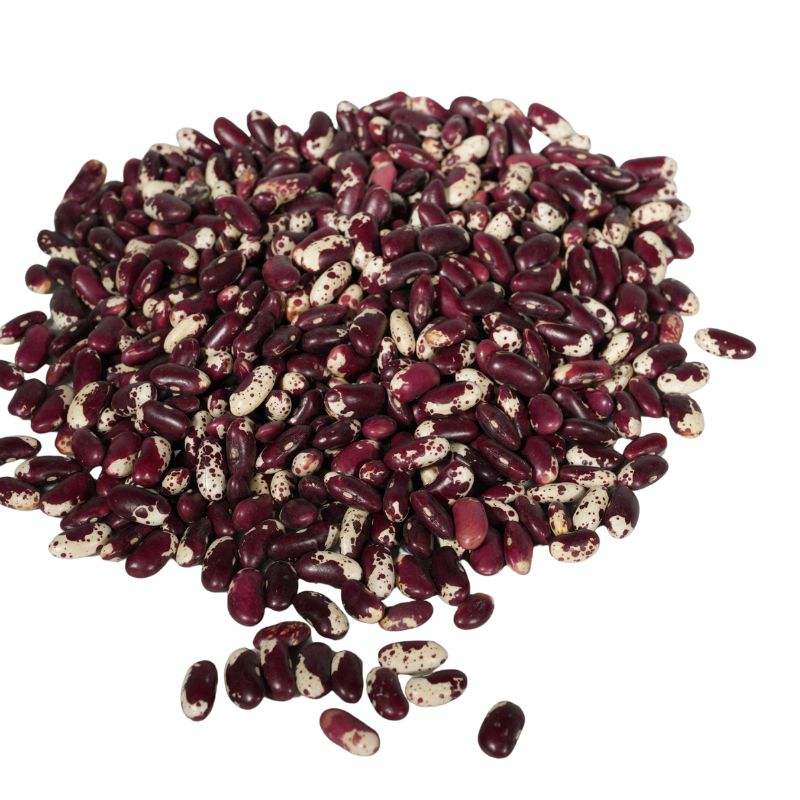 Пестрая фасоль (Light Speckled Kidney Beans)