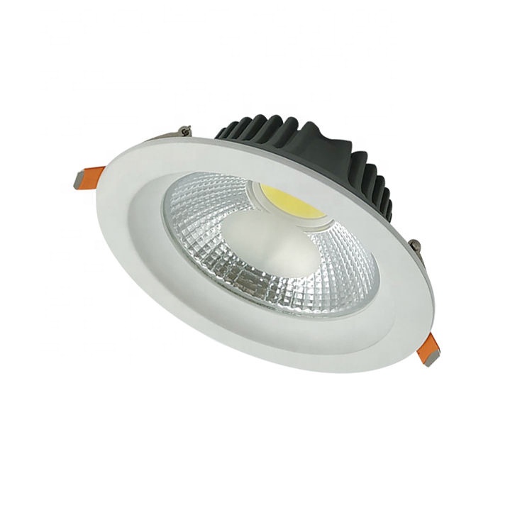Interior Lighting Ceiling Down Lights 10W 20W 30W Led Recessed Downlight AC110V AC220V Embedded Led Downlights