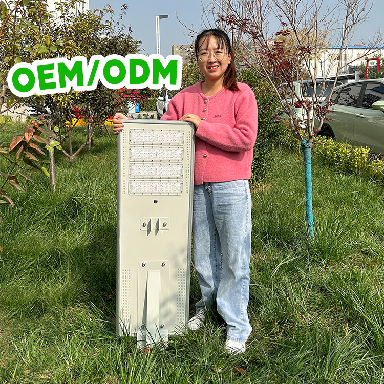Professional Ip65 100w 200W 300w Outdoor Smart Sensor with Camera Road Aluminum Integrated All in One Solar Led Street Light