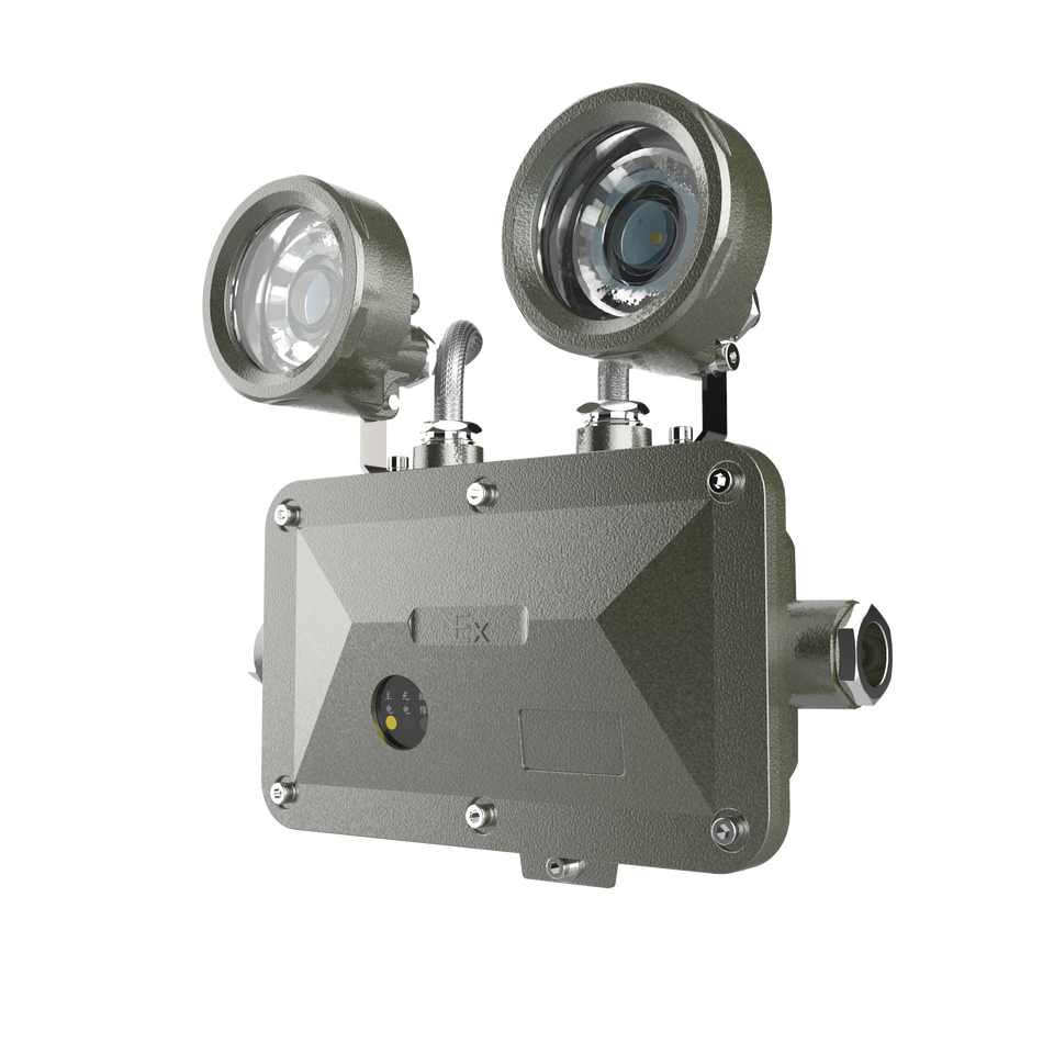 Взрывозащищенный светильник Crown ATEX