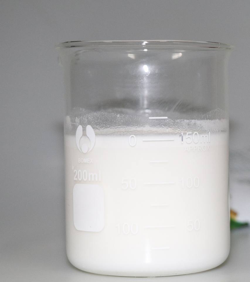 Натуральный кокосовый порошок (Natural Coconut Milk Powder)