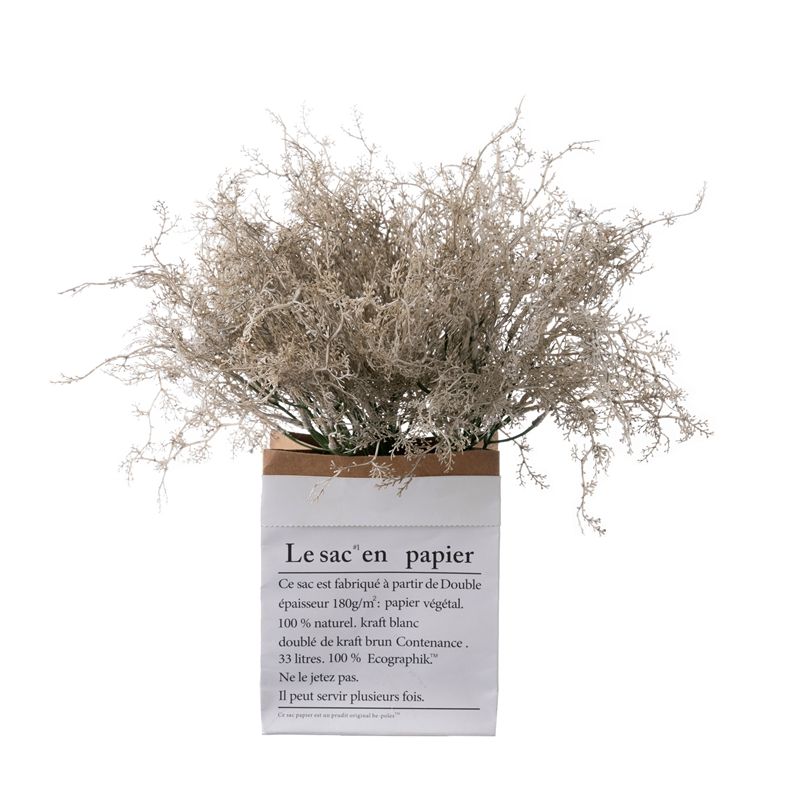 Растение Artemisia Mist (длинная ручка, YC1083)
