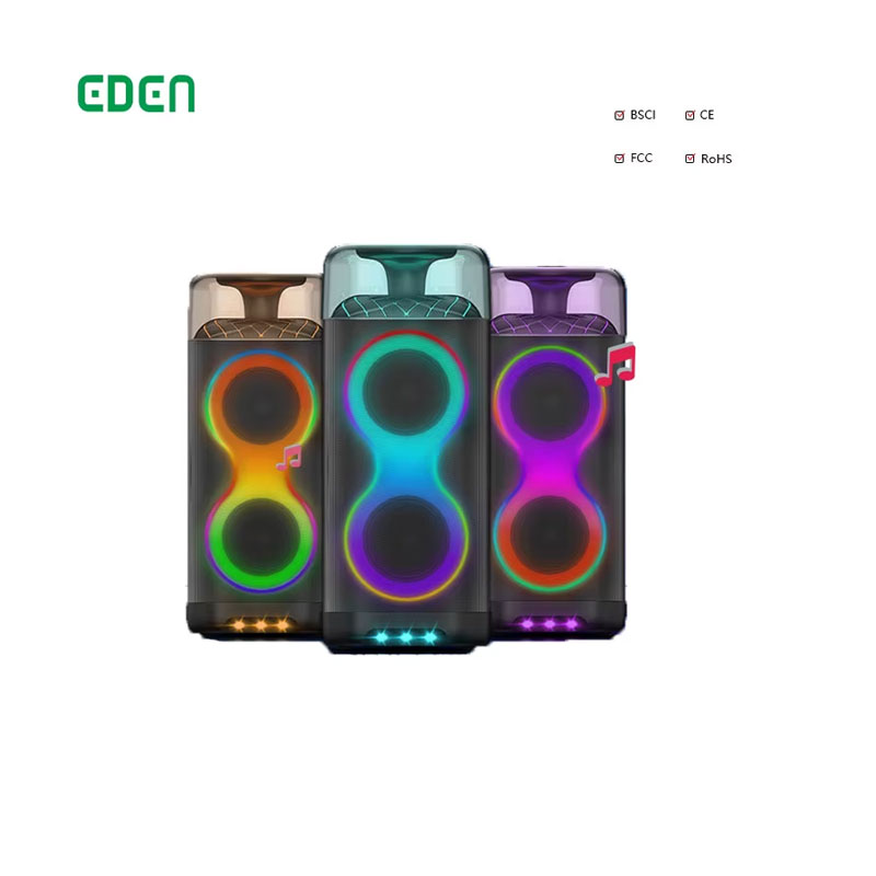 EDEN New Product Portable Radio Speaker Dual 6.5 Inch LED Lighting Party Box Wireless Bluetooth Outdoor Stage Use party speaker