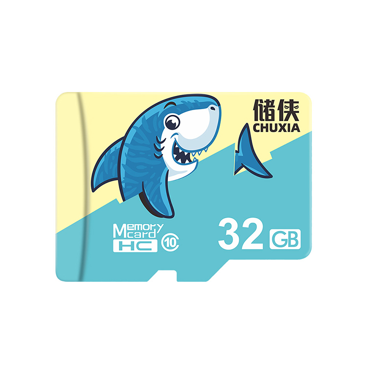 Mini SD Memory Card 16GB 32GB A1 V10 4K Video Record DVR Cctv Compatible Security Cameras Car Dvr GPS 128G 256G Dashcam TF Card