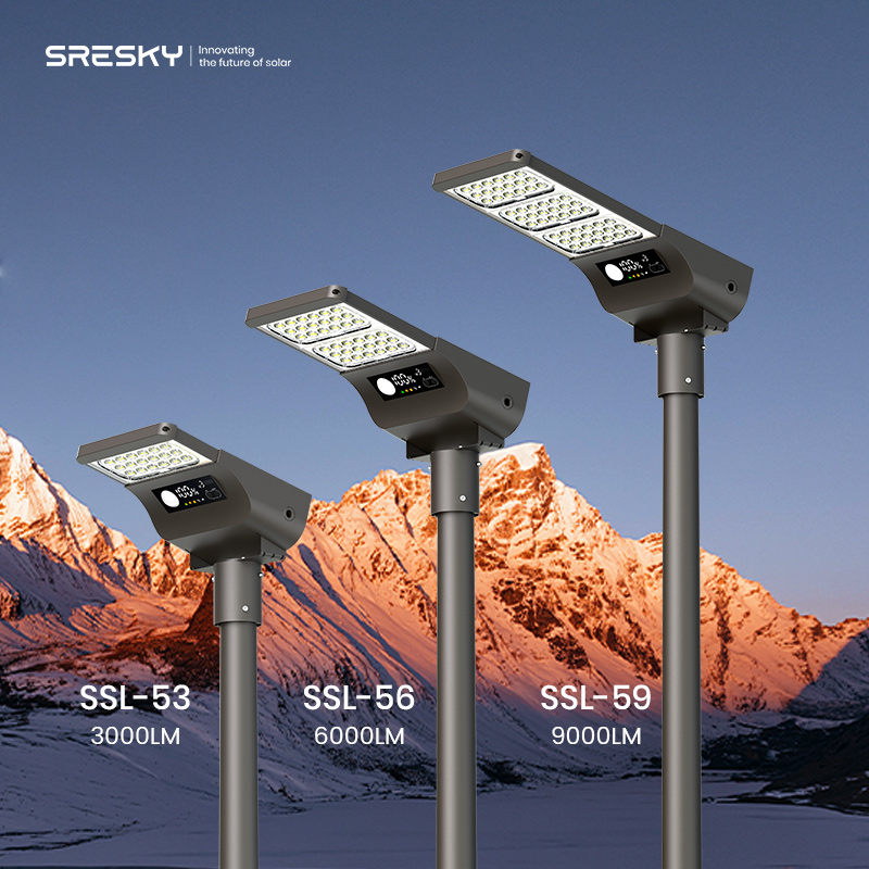 2025 SRESKY  High Quality 30W 4m  Ip65 Solar Outdoor Light Efficiency Led Solar Street Light