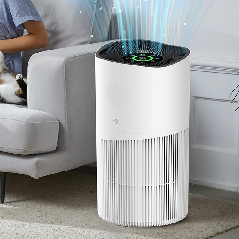 Household Air Purifier Hepa Filter Small Electric Manual Purifying System for Home Installation Pet air Purifier
