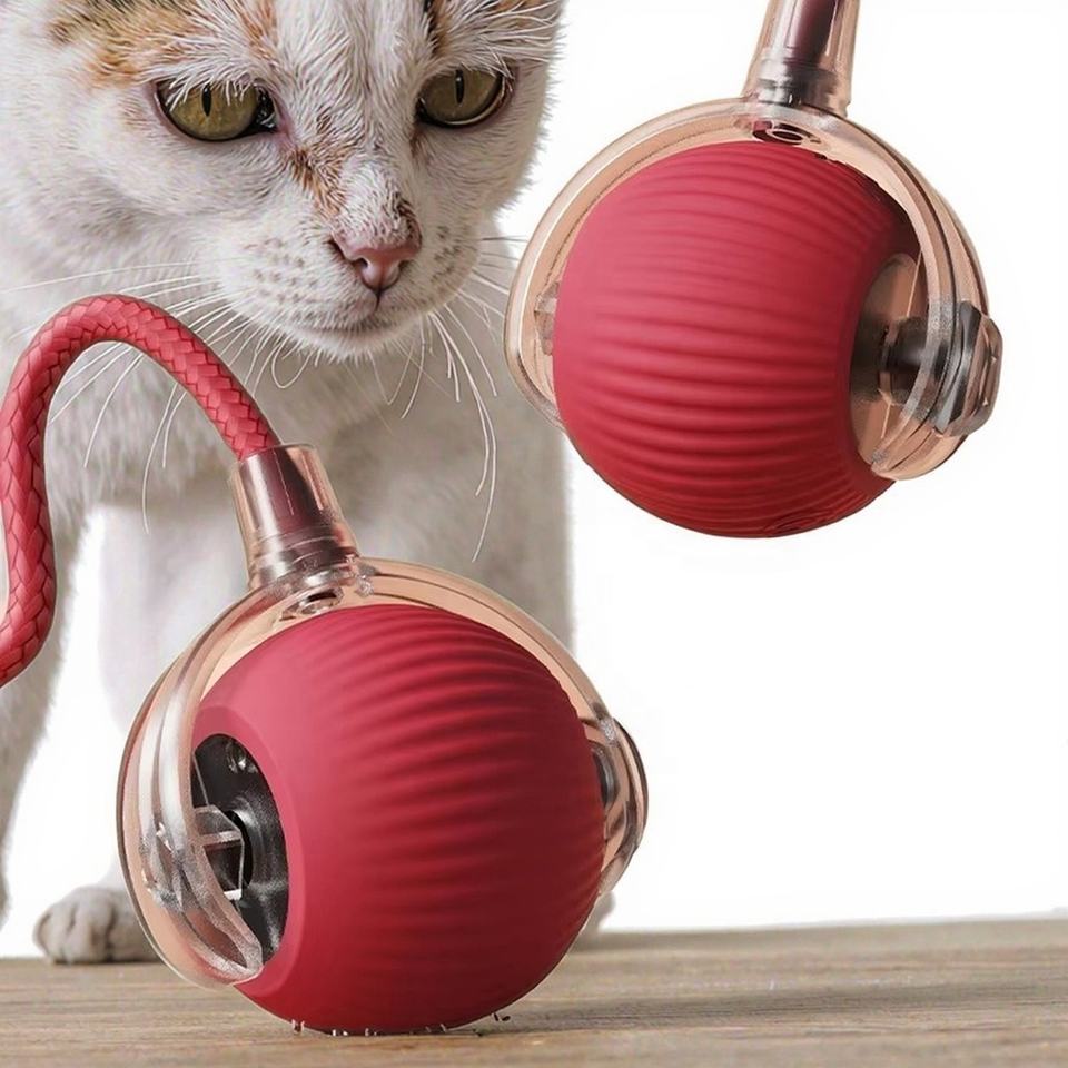 Интеллектуальный компаньон «Smart-Pet»
