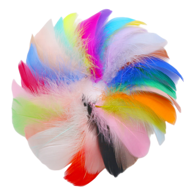 Цветные перья для рукоделия (Colorful Dyed)