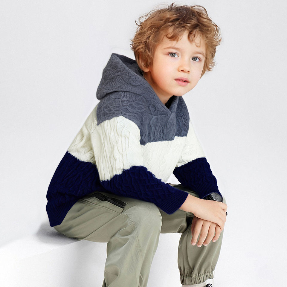 Boys Color Block Cable Knit Hooded