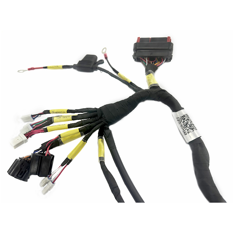 Professional Cable Assembly Factory Production All Kinds of Custom Ebike Accessories Part Wire Harness Cable