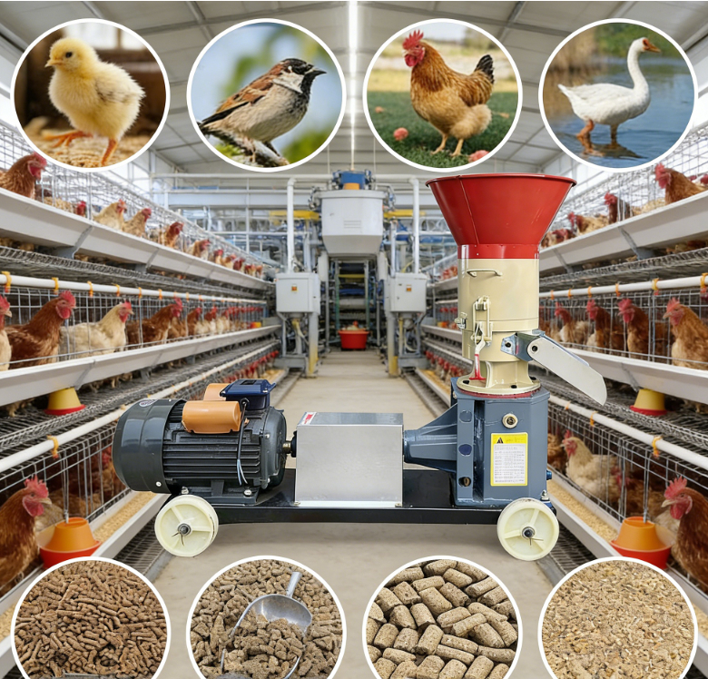 Biomass Feed Pellet Machine For Wood Sawdust & Animal Feed